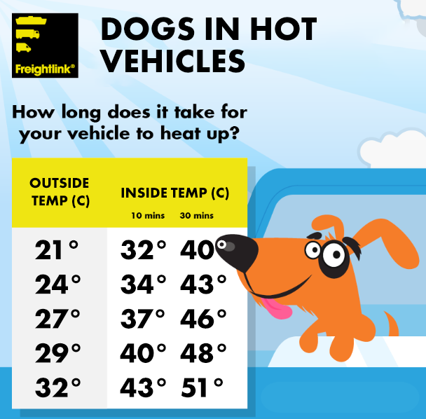 dogs in hot vehicles